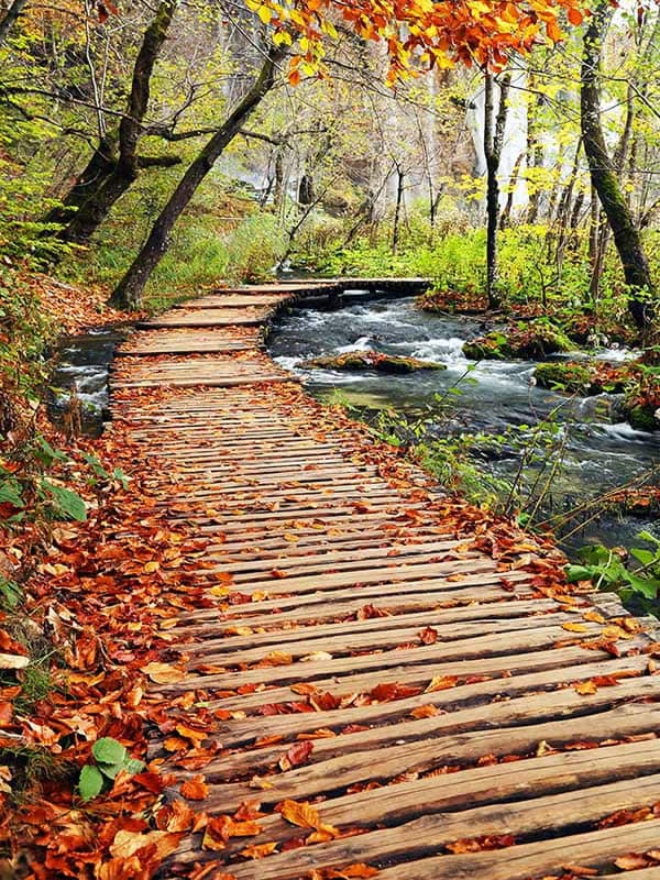 Kimyasal Tepkimelerden Korkanlar Nerede? Korkunuzu Yeneceğiniz Canlı Ders!