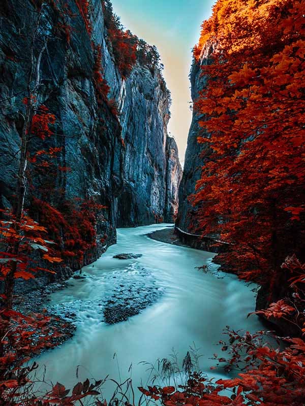 Gerçek Hayat Örnekleriyle [Kavram]: Uygulamalı Ders ve Çözümleme