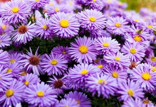 Mükemmelliğe giden yol: Gerçek potansiyelinizi keşfetmek